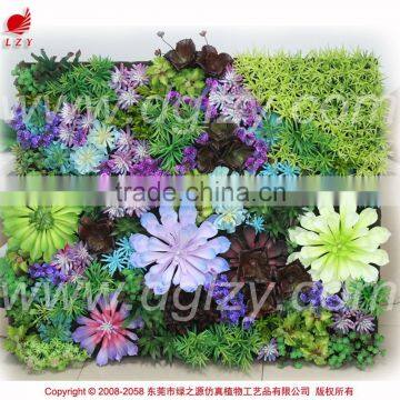 High quality artificial vertical garden plants wall with sucullents