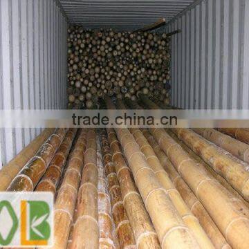 Big Building Bamboo Poles for Hotel photo-3