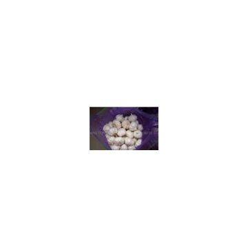 JINXIANG TONGCHANG ECONOMIC& TRADE CO.,LTD