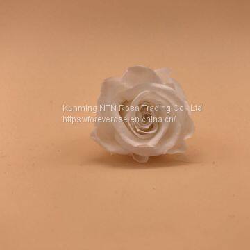 Timeless Moments Flowers Preservation for Anniversary Decoration