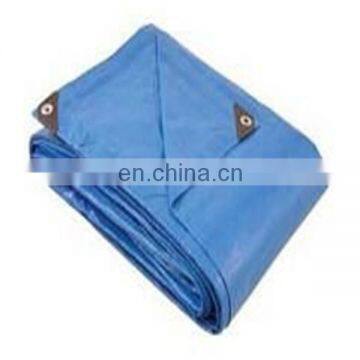 China factory blue color pe tarpaulin