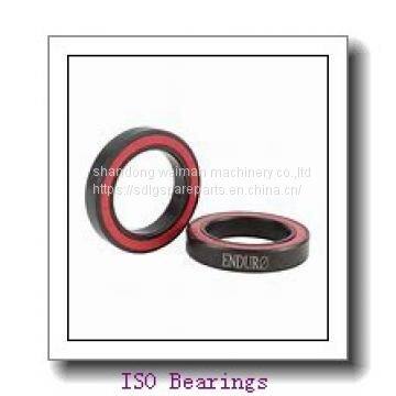 ISO Bearing