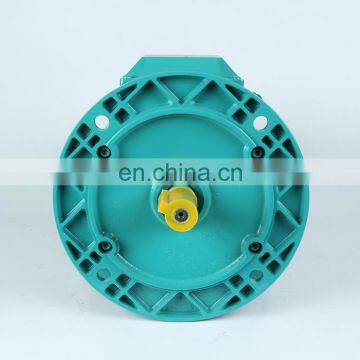 Small Power Low Rpm High Torque Three Phase ac Induction Motor MS-801-4 photo-3