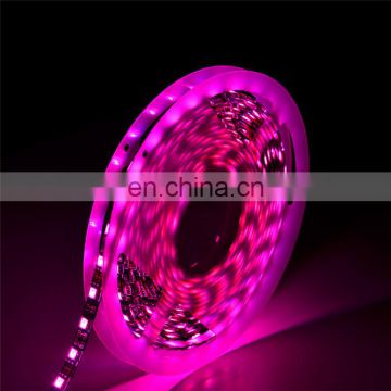 2020 hot sale color box led strip light 5050 rgb set 3.6W/m 5m/ reel