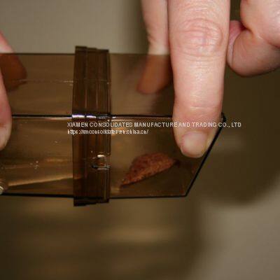 Humane Reusable Plastic Live Capture No Kill Mouse Rat Trap Cage photo-4