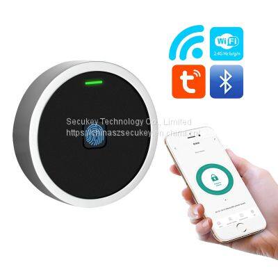 Secukey Mini Metal Tuya Bluetooth Фотосенсор контроля доступа с поддержкой отпечатков пальцев и RFID