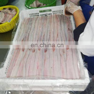 Eel Fillet Frozen Conger Eel Fish Fillet photo-2