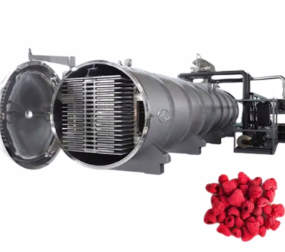 Intelligent Upgrade Freeze Vacuum Drying Machine photo-2