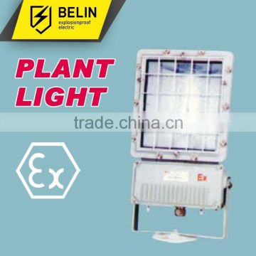 BAT(B) Explosion proof Floodlight