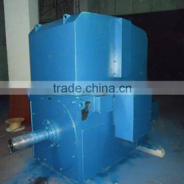High capacity squirrel-cage High Voltage Three Phase AC Motor