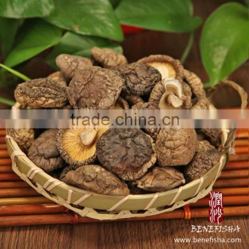 Japan Standard Dried Mushroom(Shiitake)