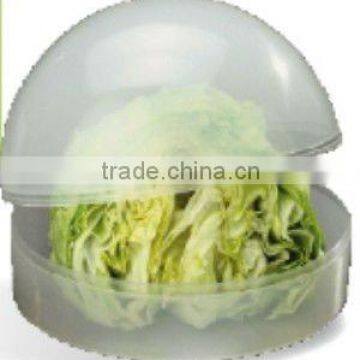 plastic vegetable box