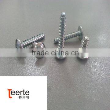 PHILLIPS TRUSS SELF TAPING SCREW WITH FLAT TAIL photo-3