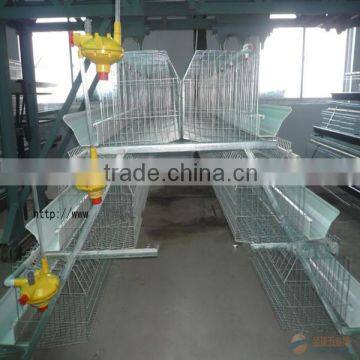 high quality automatic manure remove A type hot galvanized & electric galvanzied cages for chickens chicken cage