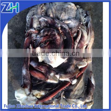 Fresh frozen squid fish tentacle tube with competitive price