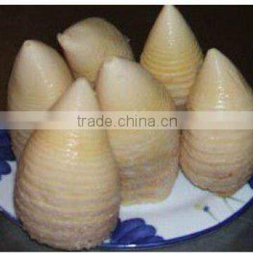 2016 crop canned water bamboo shoot