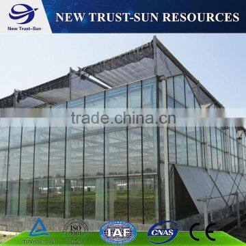 Customized multi-span glass greenhouse for vegetable/flower growth