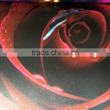 indoor silk fabric CMYK printing