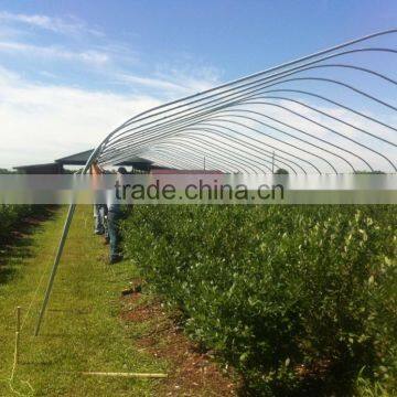 Tunnel Greenhouse photo-4