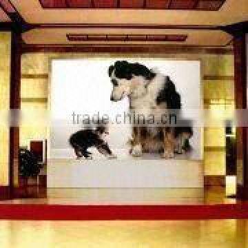 p5 Indoor Led Screens for Advertising photo-5