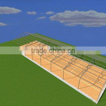 Steel Structure Design Poultry Farm Shed photo-4