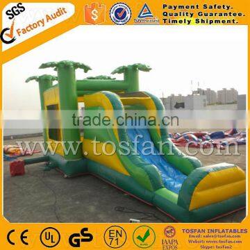inflatable bouncy castle/jumping combo with slide A3102