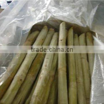 Frozen Sugarcane From VietNam QQ : 2598494113 photo-3
