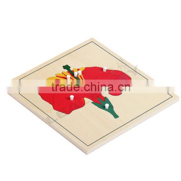 Montessori educational puzzle flower puzzle