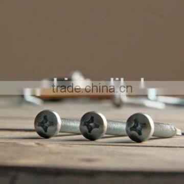 High Quanlity Pan Head Self Drilling Screw Zinc photo-6