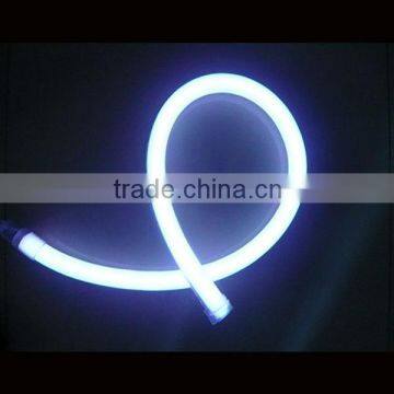 September update designs 12v led neon rope light