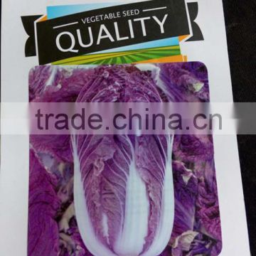 Chinese vegetable hybrid cabbage Seeds purple vegetable seeds for planting-V02