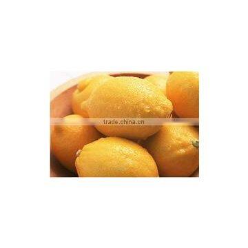 Spray Dried Powder of Lemon Powder photo-2