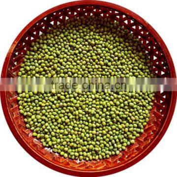 JSX Vietnam Yellow Mung Beans Big and Small Size China Moong Dal