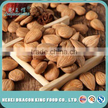 Conventional Apricot Kernel Seeds