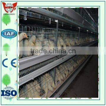 A/H line three/four lays broiler chicken cages