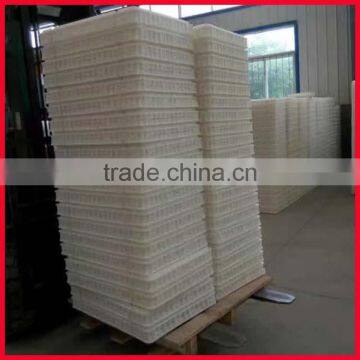 Plastic Poultry Transfer Box photo-6