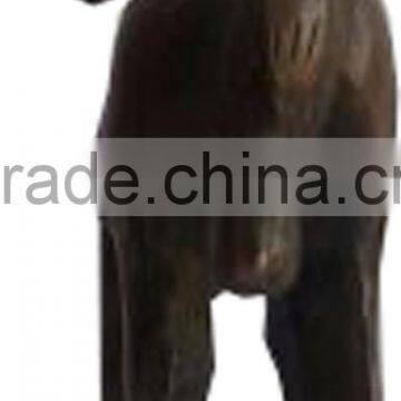 Brass Horses photo-4