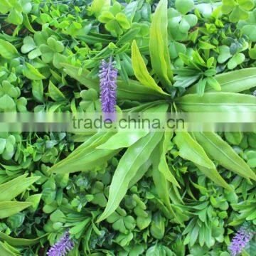 CHY040901 Decorative Garden Wall/ Hanging Wall Withplants/vertical Plant Wall photo-5
