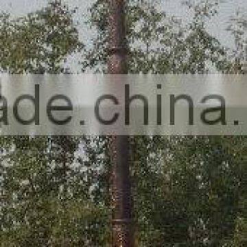 Antique Double Arm Street Lighting Pole Price photo-3