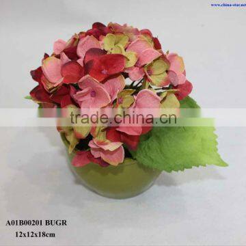 Mix Color Hydrangea Potted photo-2