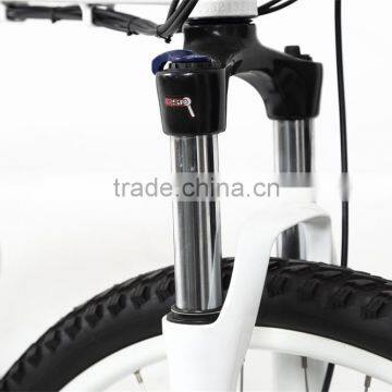 Chinese Electric Foldable Mountain Bike With Low Price photo-6