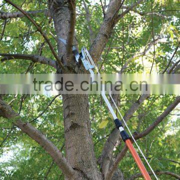 Aluminum Telescopic Pole Pruner With Saw for Tall Tree Pruning