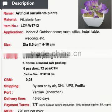 Mini Potted Succulents Plants Factory Selling Mini Artificial Succulents photo-2