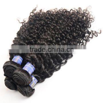 Wholesale Virgin Malaysian Hair, 100% Unprocessed Malaysian Virgin Hair, Malaysian Hair Curly Bundles photo-2