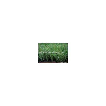 Artificial Turf BN35217110(3tone)