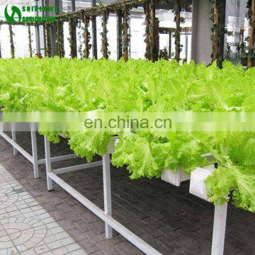 2017 Commercial Good Quality Tube Hydroponic For Sale