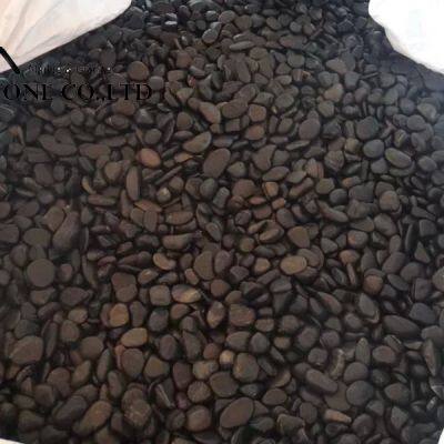 Factory Wholesale Natural Black and White Pebble Stone for Garden