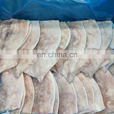 Available good price Frozen Squid fillet 100g Todarodes squid