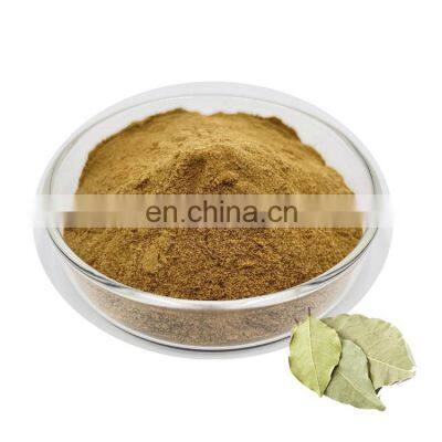 High Quality Natural Spices Bay Leaf Dried Myrcia