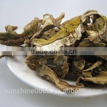 Wild Mushroom Factory Supplier for Imports photo-5